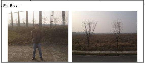 优游国际·UB8(中国游)集团官方网站